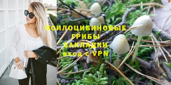 spice Абаза