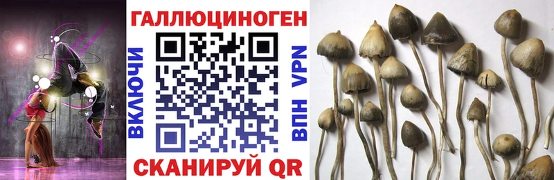Псилоцибиновые грибы MAGIC MUSHROOMS  Весьегонск 